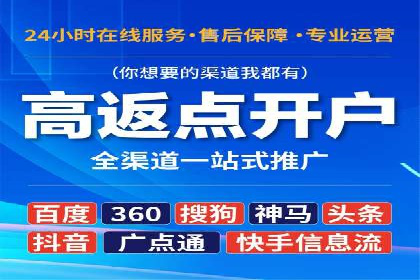 竞价广告策略案例分析